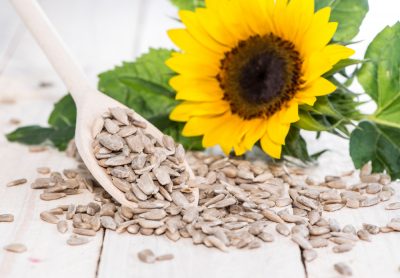 sunflower seeds